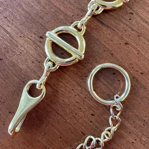 Chain Belt - Picture 5 of 6